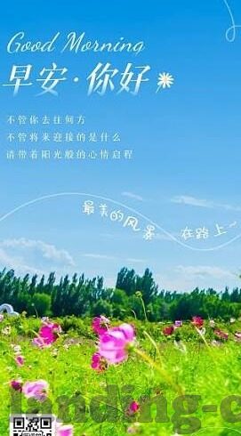 433足球比分直播网-433足球比分直播网，足球迷的实时信息枢纽与互动乐园